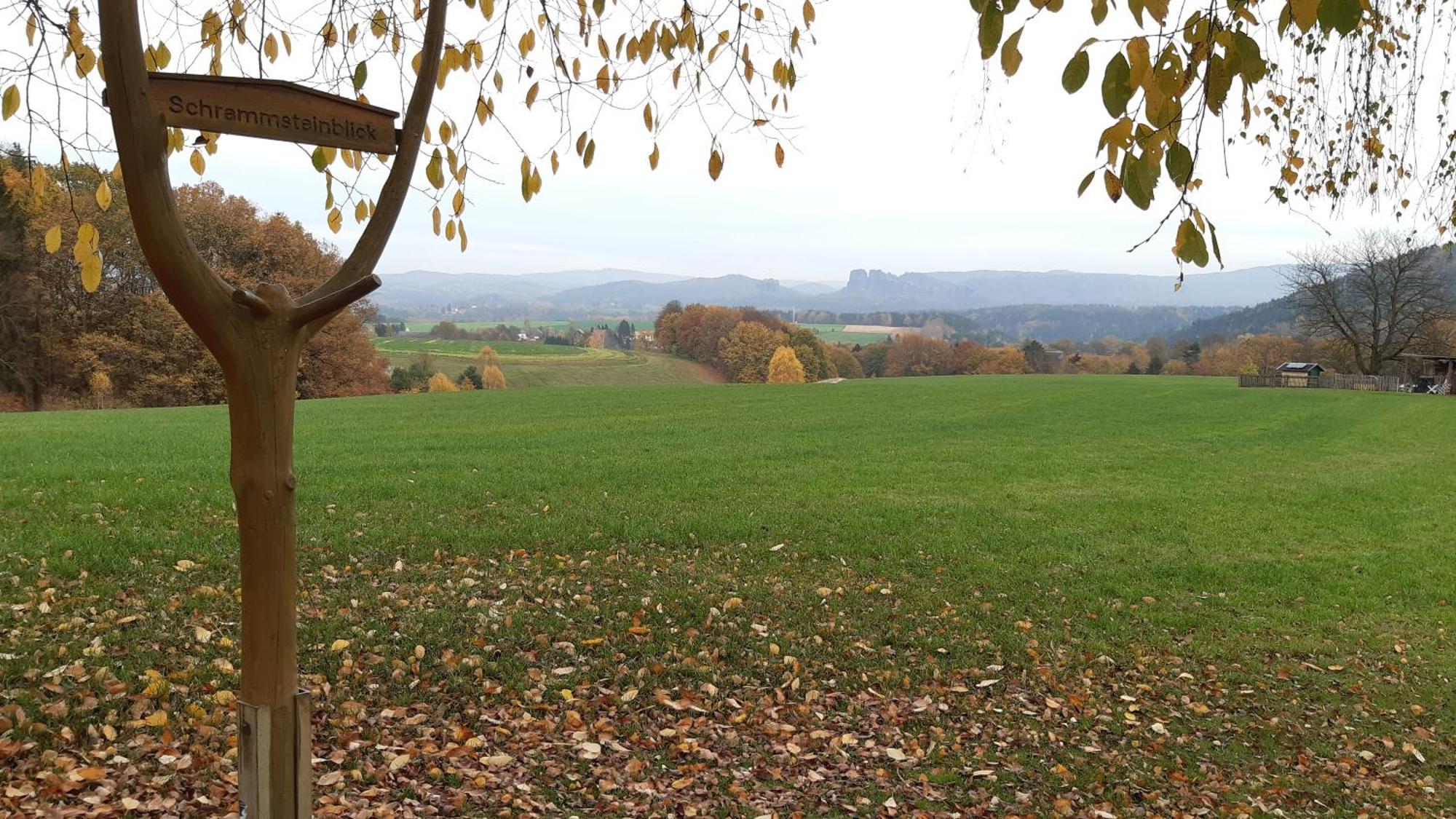 Ferienhaus Papstdorf Kurort Gohrisch Eksteriør billede